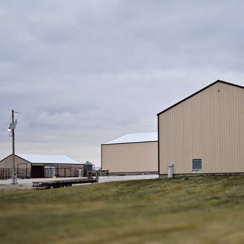 Customize the Pole Barn Exterior to Fit Your Florida Business.